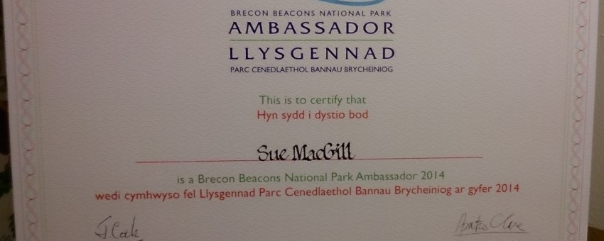 Ambassador Certificate