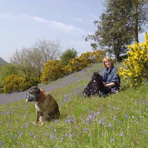 Dog Friendly Holidays at Basel Holiday Cottage in Llandovery, Wales