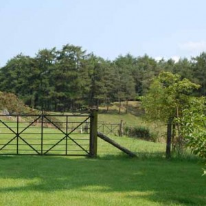 Spacious, Enclosed Gardens At Basel Holiday Cottage in Llandovery, Wales For All You Dog-Lovers