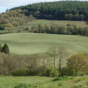 Woods, River and Stunning Countryside at Basel Holiday Cottage in Llandovery, Dogs Welcome