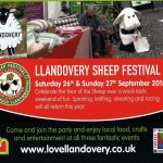 Sheep Festival Llandovery (2)